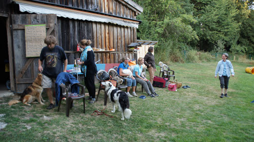 a3ginger701