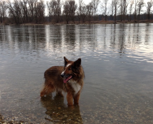 bobby_4apr2013