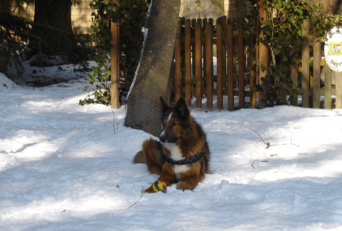 bobby_feb2006