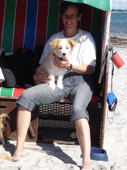 ginger_ostsee1