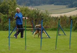 sina2008gerry