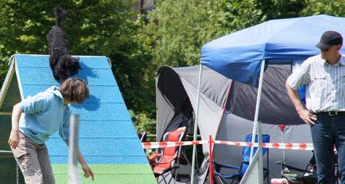 vilsb2013f